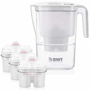 BWT water filter pitchers for the homer