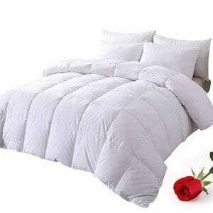 DOWNCOOL Top Ten Full-Size Down and Down Alternative Comforters