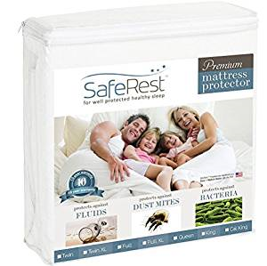 saferest top 10 twin mattress pads