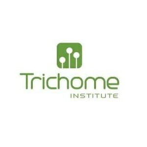 The Trichome Institute Top 10 Best Cannabis Education Programs