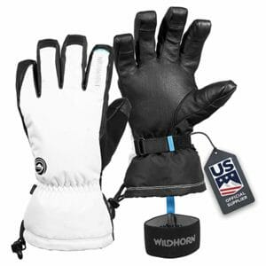 Wildhorn Top Ten Mens' Ski Gloves