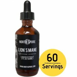 North Spore Top 10 Best Lions Mane Tinctures