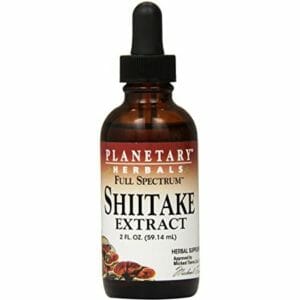 Planetary Herbals Top Six Best Shiitake Mushroom Tinctures